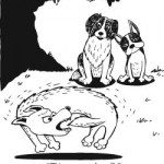 wally-dogs gbrooks